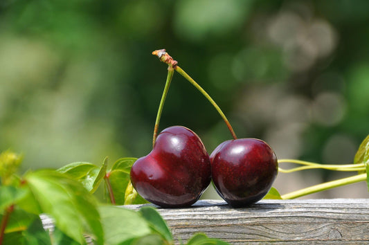 Discover more about Chamoy Cherry Sours