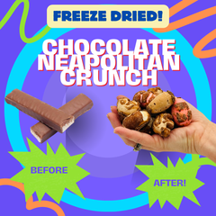 Neapolitan Chocolate Crunch Freeze Dried Candy Chocolate Strawberry & Vanilla Snack Blend