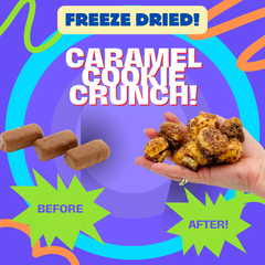 Freeze Dried Caramel Cookie Crunch Freeze Dried Chocolate Caramel Cookie Candy Bars 3oz Bag Freeze Dried Candy