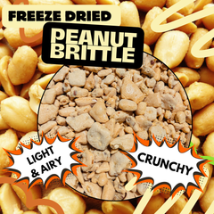 Limted Edition Freeze Dried Peanut Brittle Seasonal Freeze Dried Candy Holiday and Christmas Peanut Toffee 4 oz Bag