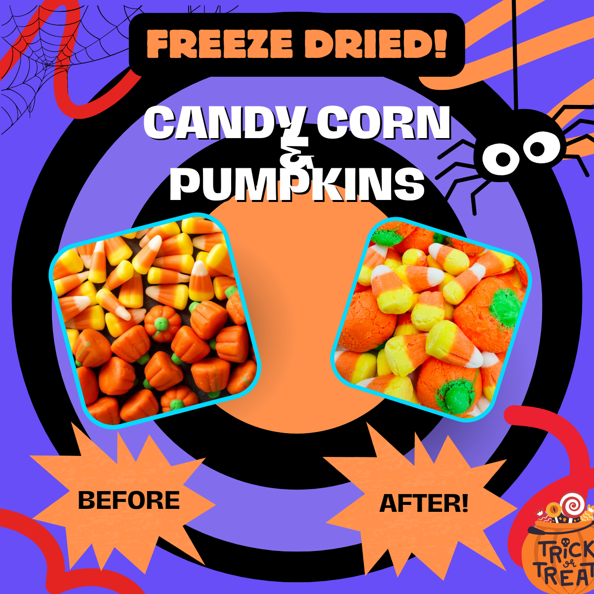 Freeze Dried Candy Corn & Pumpkin Spooky Mix Halloween Candy 6oz Bag