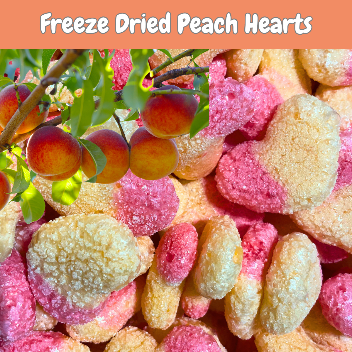 Freeze Dried Peach Hearts 4oz Bag