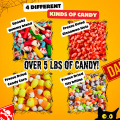 Halloween Freeze Dried Candy Party Pack of Freeze Dried and Gummy Candy Bundle