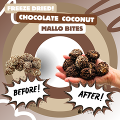 Before and after view of chocolate coconut mallow candies transformed into crispy freeze dried bites.