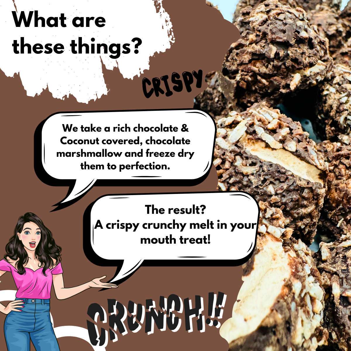 Description graphic explaining how chocolate, coconut, and marshmallow are freeze dried into crispy treats.
