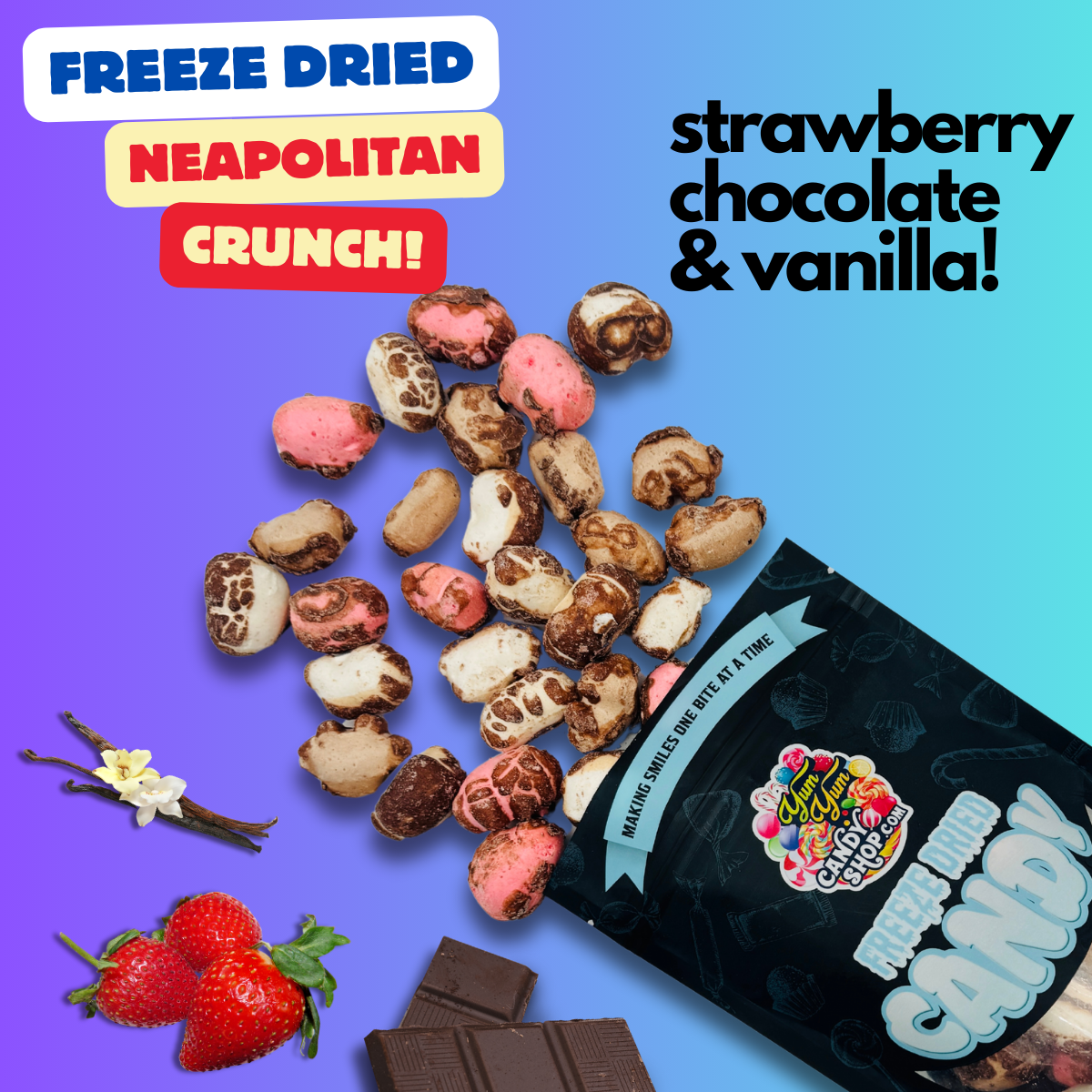 Freeze Dried Neapolitan Crunch Candy Pieces – Strawberry, Chocolate & Vanilla Treats with Light Crunch