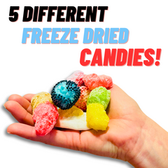 Freeze Dried Not So Gummy Mix Freeze Dried Candy Mixture 7oz Bag