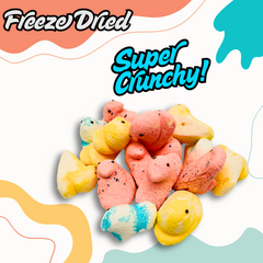 Close-up of crunchy freeze-dried marshmallow chicks with colorful shell and airy texture